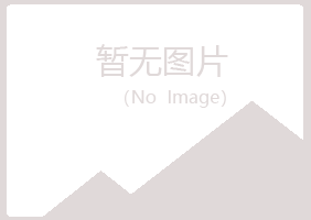 环县夏岚采矿有限公司